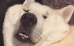 幽默搞笑头像,个性幽默头像任你挑选!”