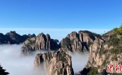插女人下面(中国)官方网站IOS安卓手机APP下载装置及51今日吃瓜热点大瓜入口有哪些?(51今日热点大瓜汇总),Andy衔接揭晓多条黑料激励轩然马布里被迫报警