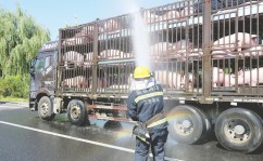 神农集团一季度归母净利润229亿元同比大增65倍:养猪从“卷”成本变为“卷”价值!今日看料-今日看料每日更